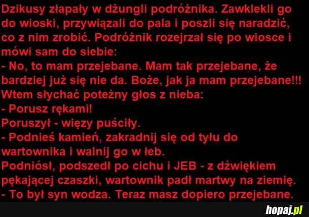 Dzikusy