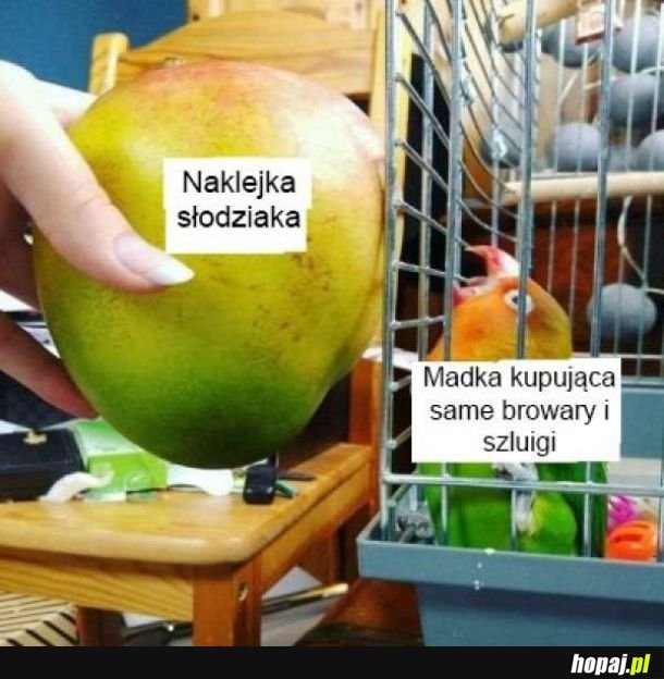 Daj słodziaka