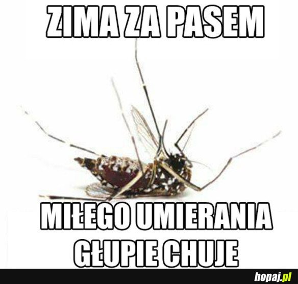 I dobrze