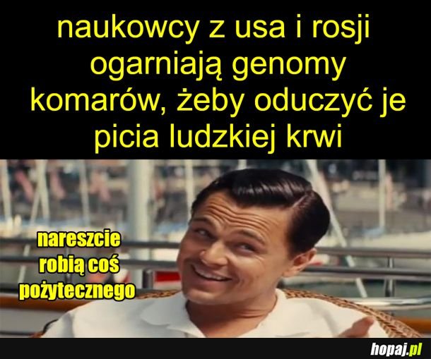 Ciekawe co z tego wyjdzie