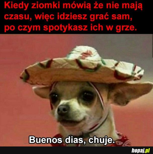 Koledzy tacy są