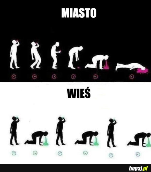 MIASTO VS WIEŚ