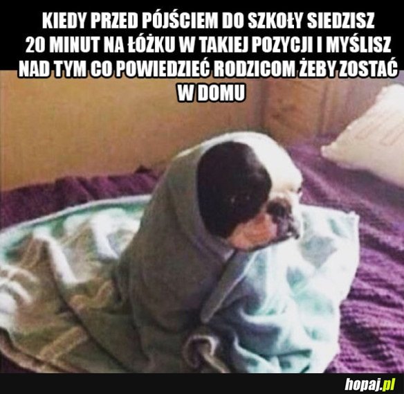 JAK ZERWAĆ SIĘ ZE SZKOŁY