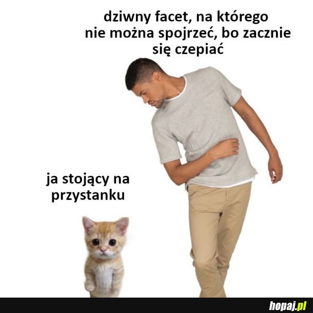 Niespodziewany kompan