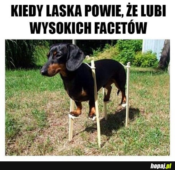 MUSZĘ JĄ JAKOŚ ZDOBYĆ