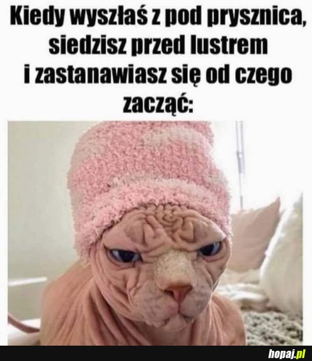 Chwila zastanowienia