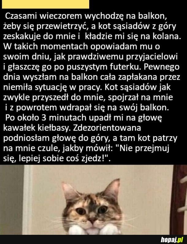 Sąsiad