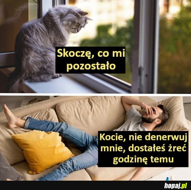 Drama queen