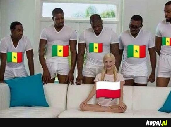 Polska vs Senegal