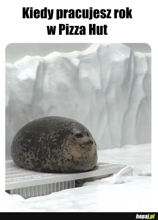 Praca