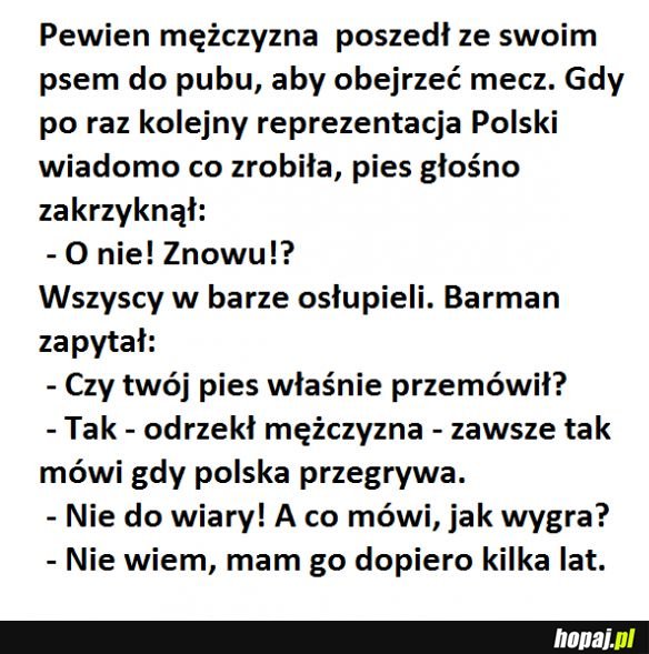Wierny jak kibic