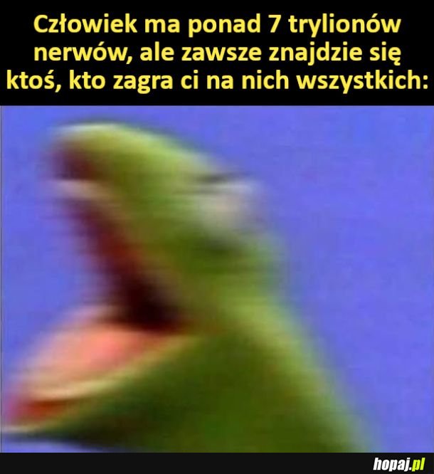 Zawsze się trafi taki jeden...