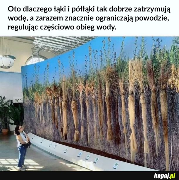 Łąki ważną sprawą