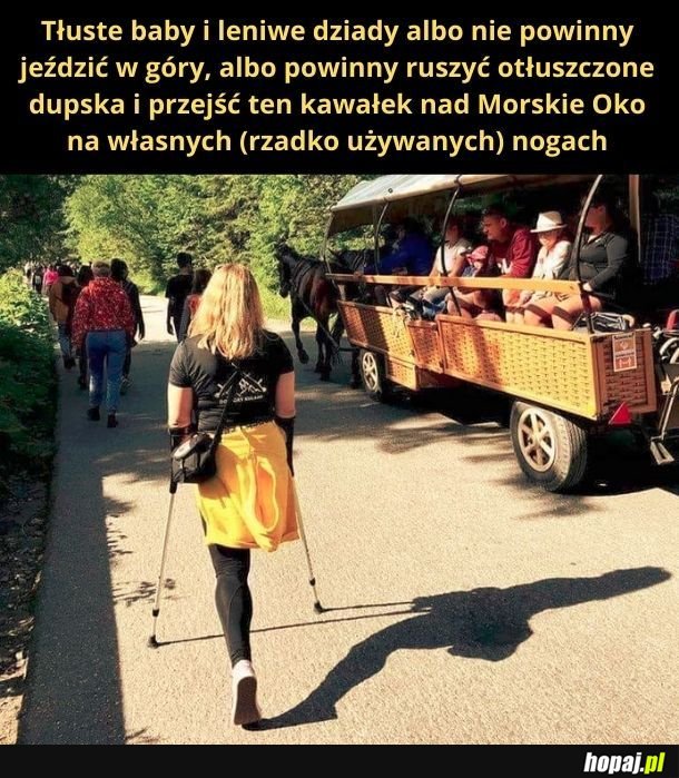 Te konie ciągną same tłuste babska i spasionych dziadów!