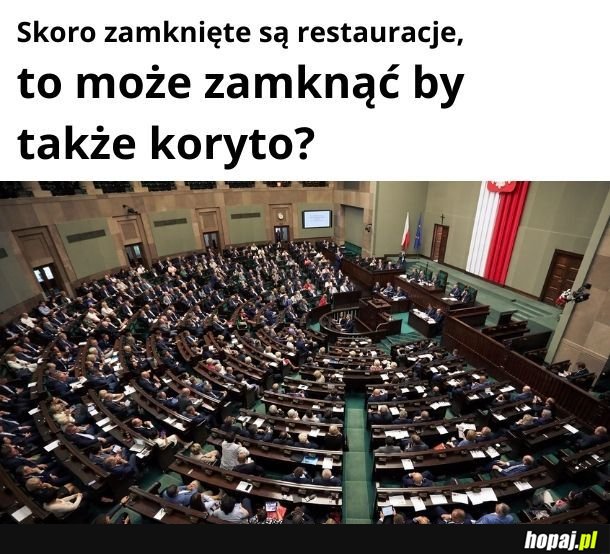 Może.