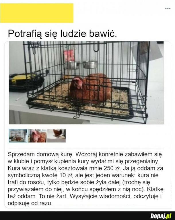 Potrafią się ludzie bawić