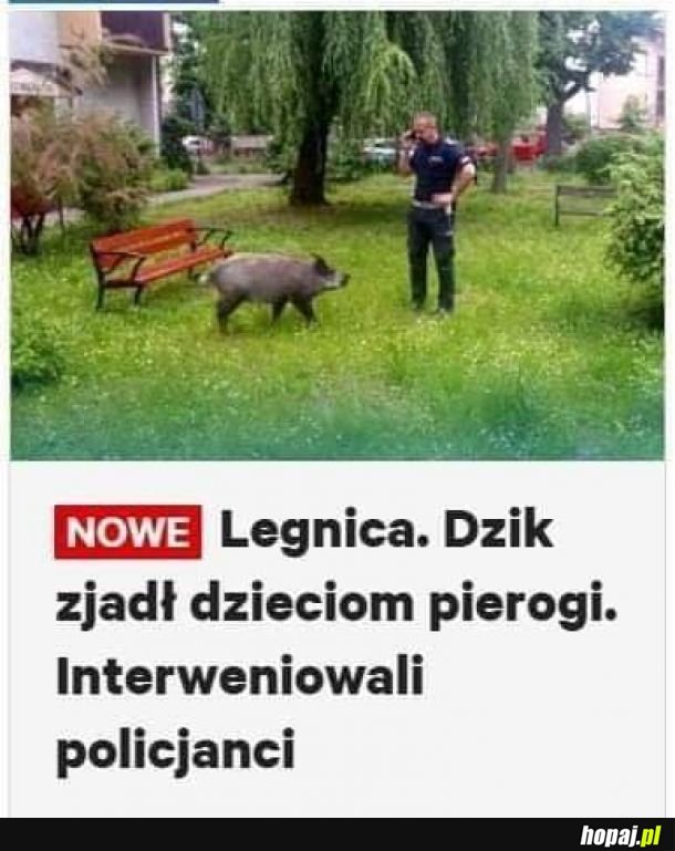 Z ostatniej chwili