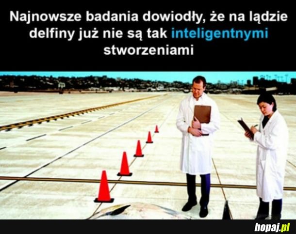 Najnowsze badania