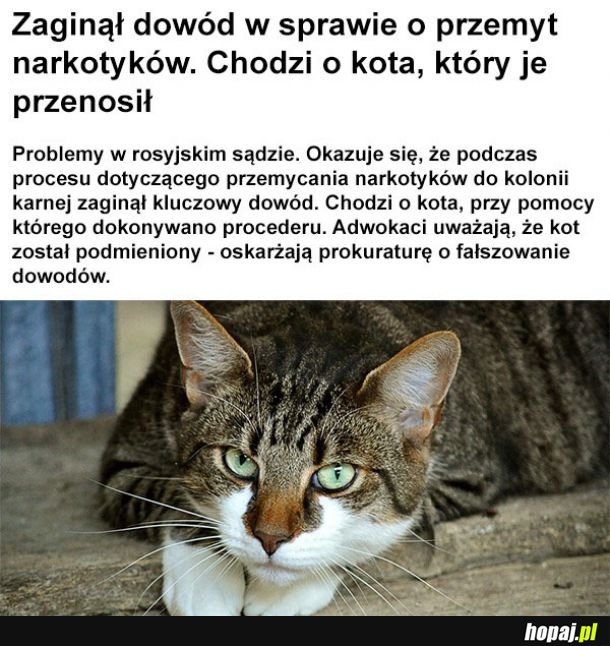 Dowód w sprawie