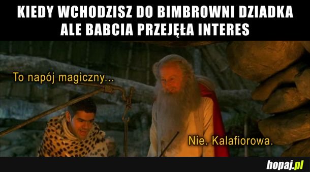 Poczuj w sobie siłę lwa. 