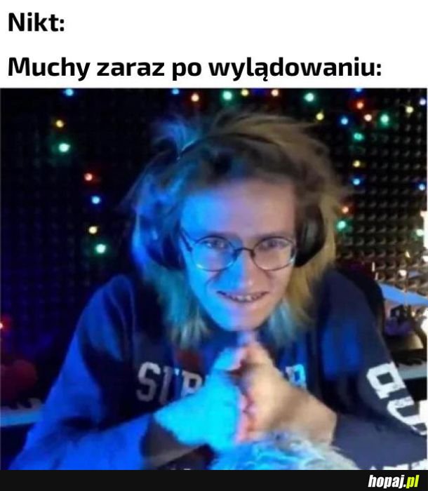 Muchy takie są