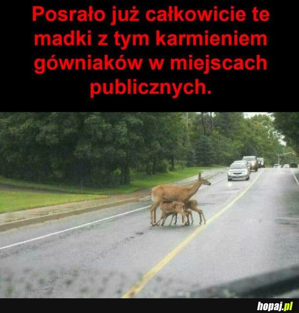 Niepoważne madki