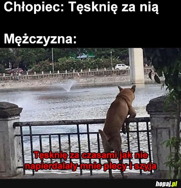 Proza życia