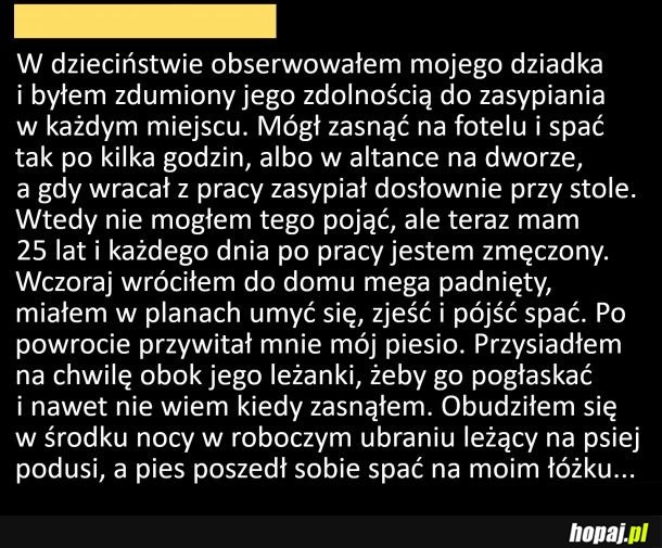 Kiedy zmęczenie wzięło górę