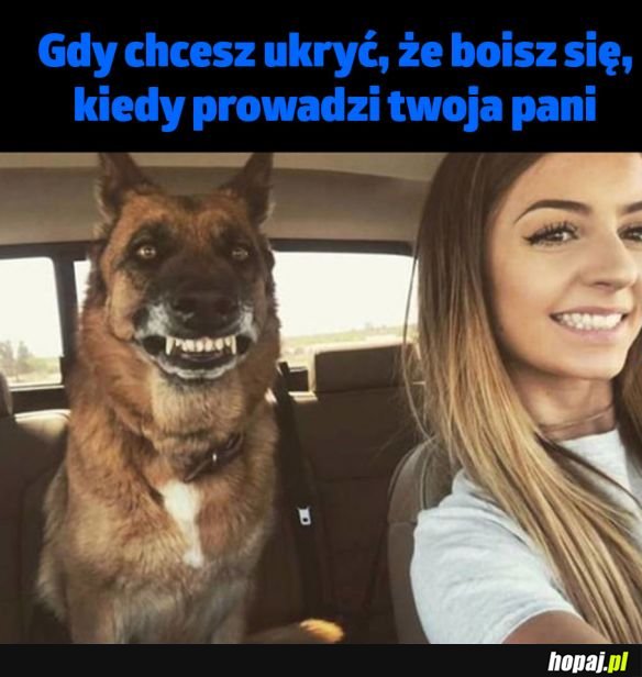 Wszystko jest w porządku