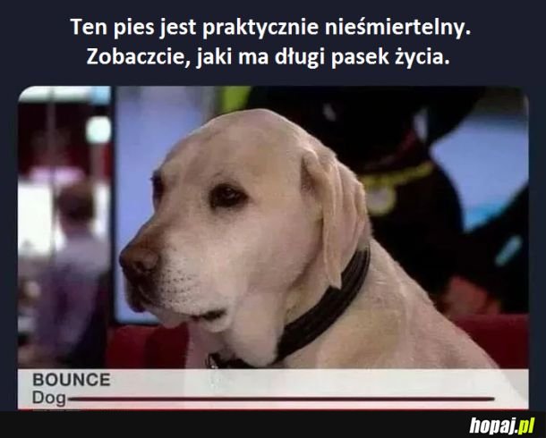 Najtrudniejszy boss