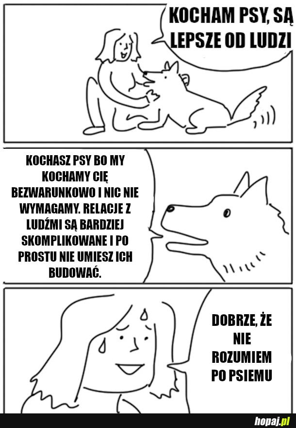 Tak to właśnie z psami jest