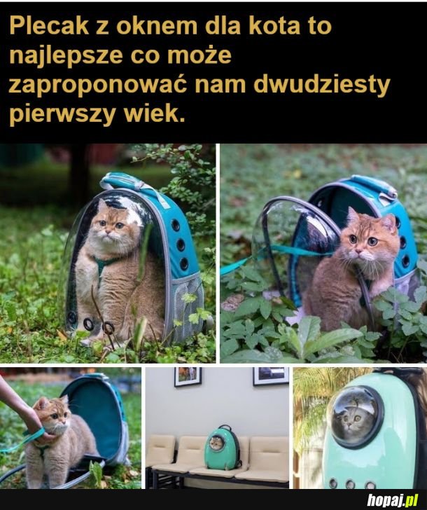 Nosidełko takie