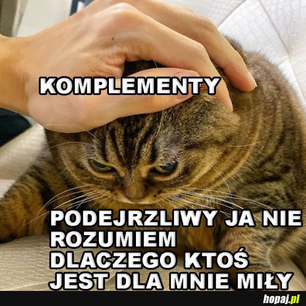 Komplementy