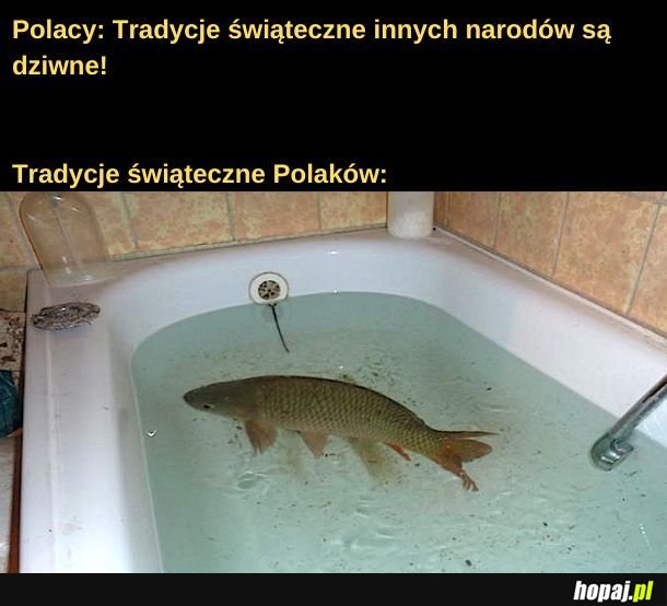 Tradycje.