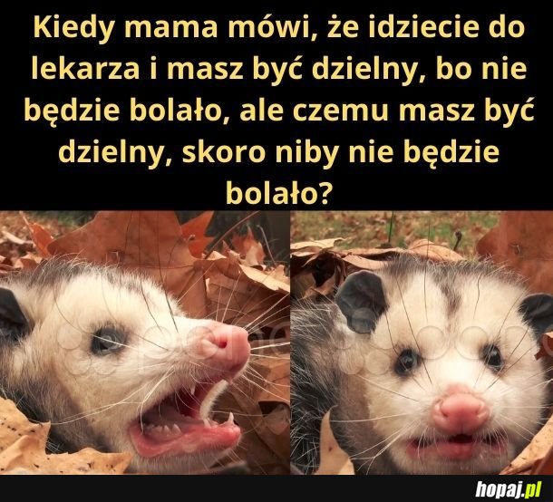 Czuję podstęp