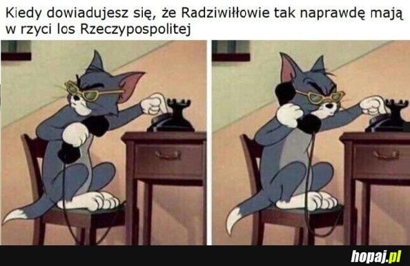 PRZEKLĘCI RADZIWIŁŁOWIE