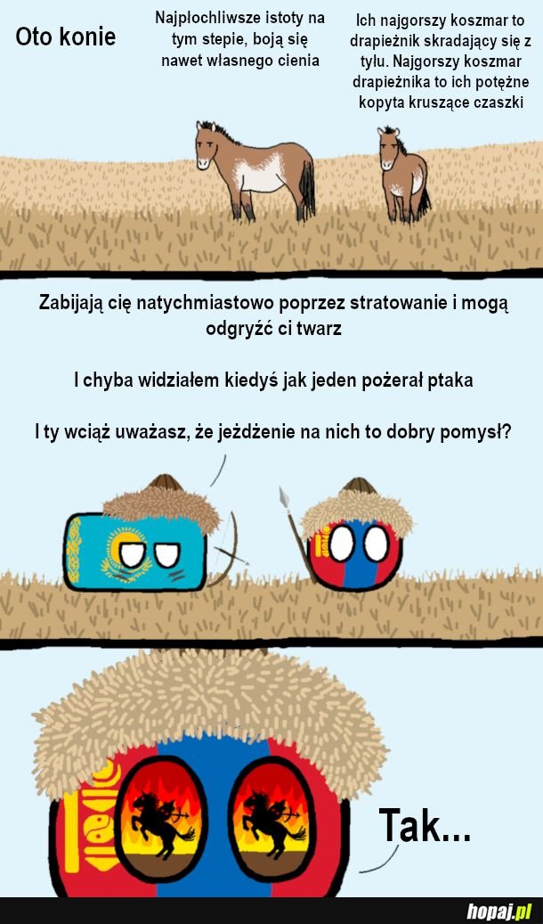  Pomysł na konia 