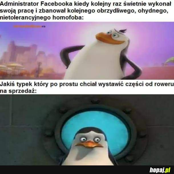 Dzień jak co dzień