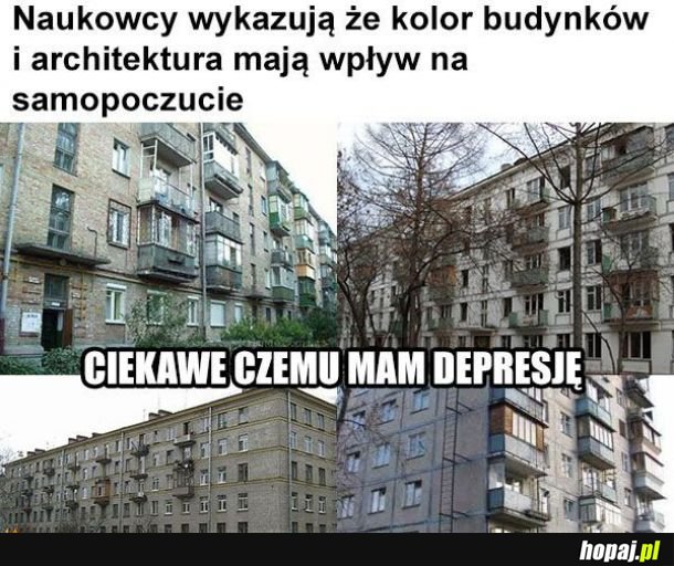 Kolor budynków