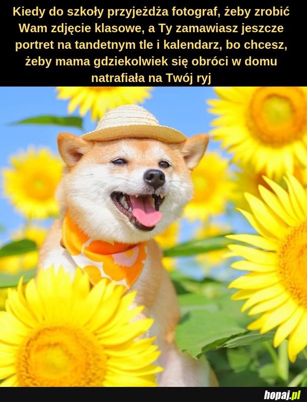 Zrobiłaś mnie to teraz patrz 