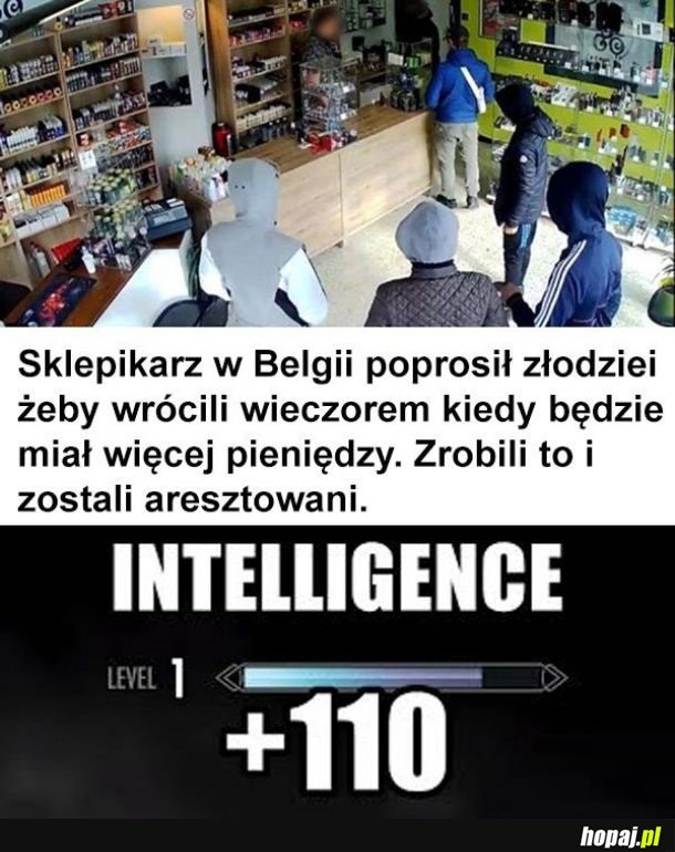 Głupota nie zna granic