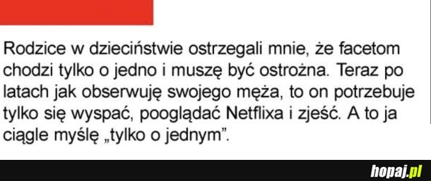 Coś w tym jest