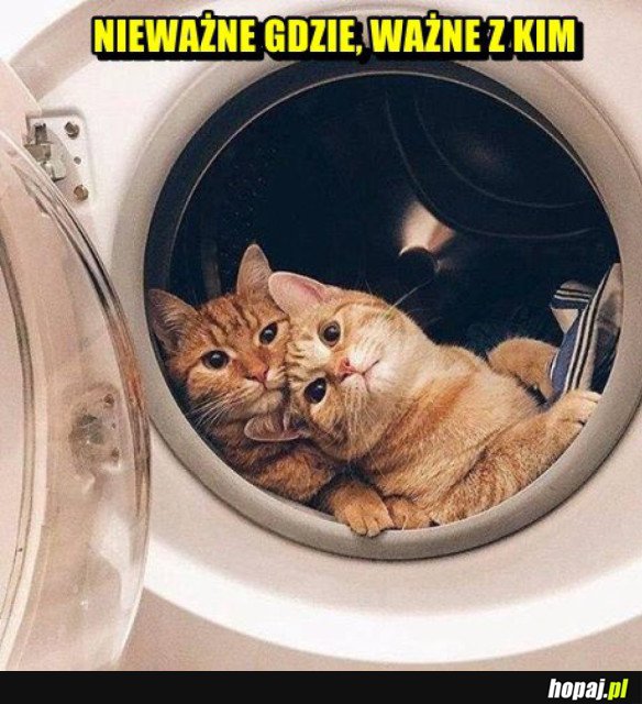 Heheszki