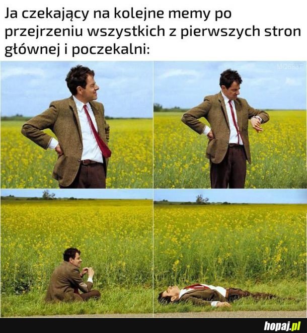 Przeglądanie memów