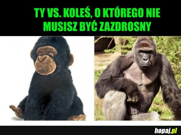 TY VS KOLEŚ