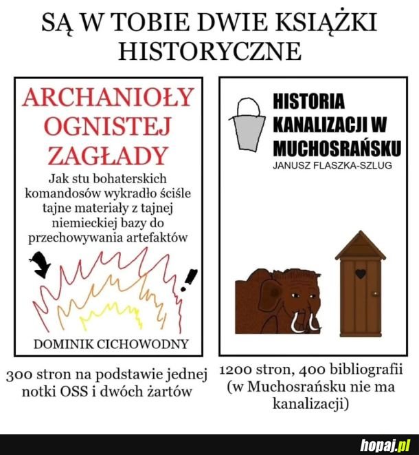 Dwa rodzaje książek historycznych
