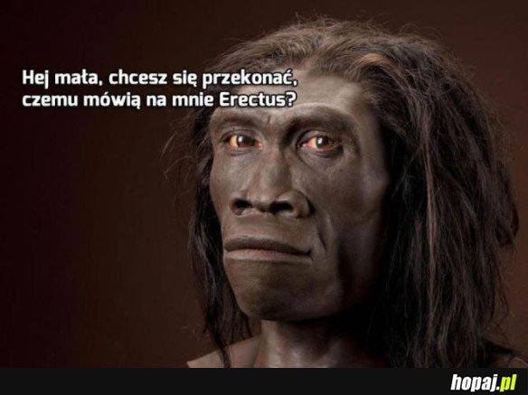 PODRYW NA NEANDERTALA