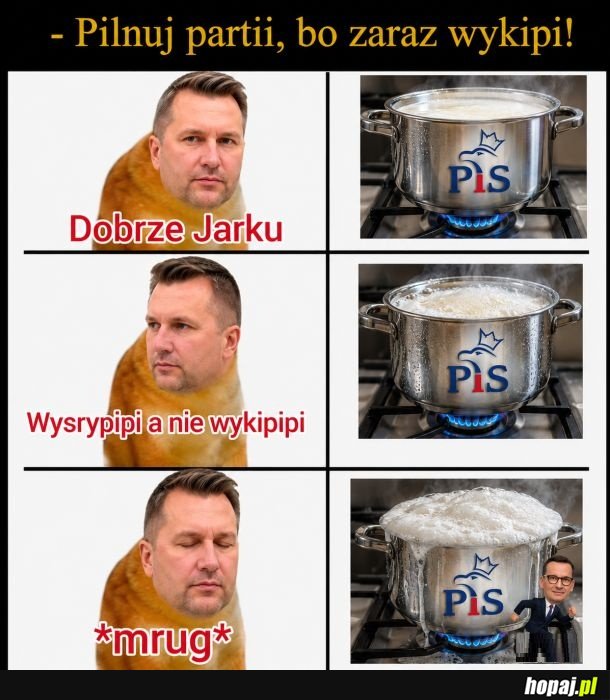 Pilnuj partii