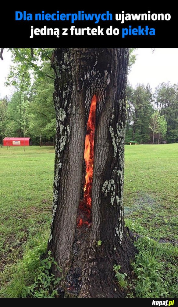 PRZEJŚCIE DLA ODWAŻNYCH