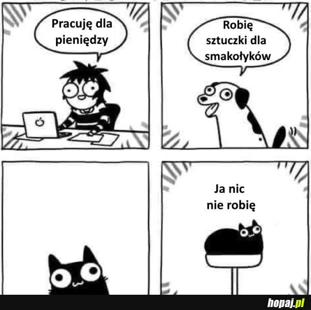 Dialog